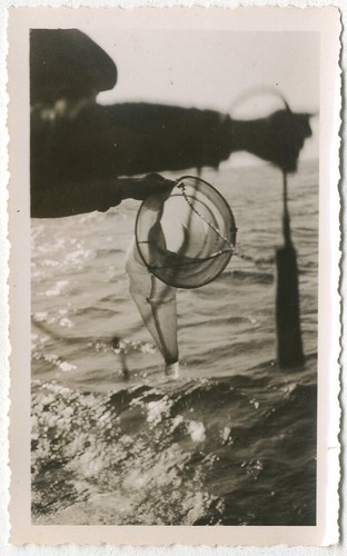 Silver print pescare snapshot - print,